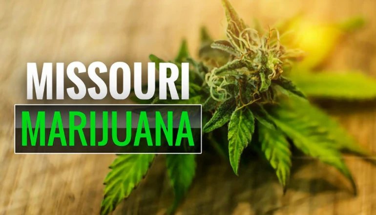 Audit finds flaws in Missouri marijuana licensing system – KTTN