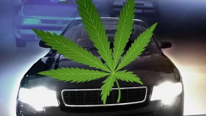 Has Florida law changed when it comes to smoking marijuana in your car? – WKMG