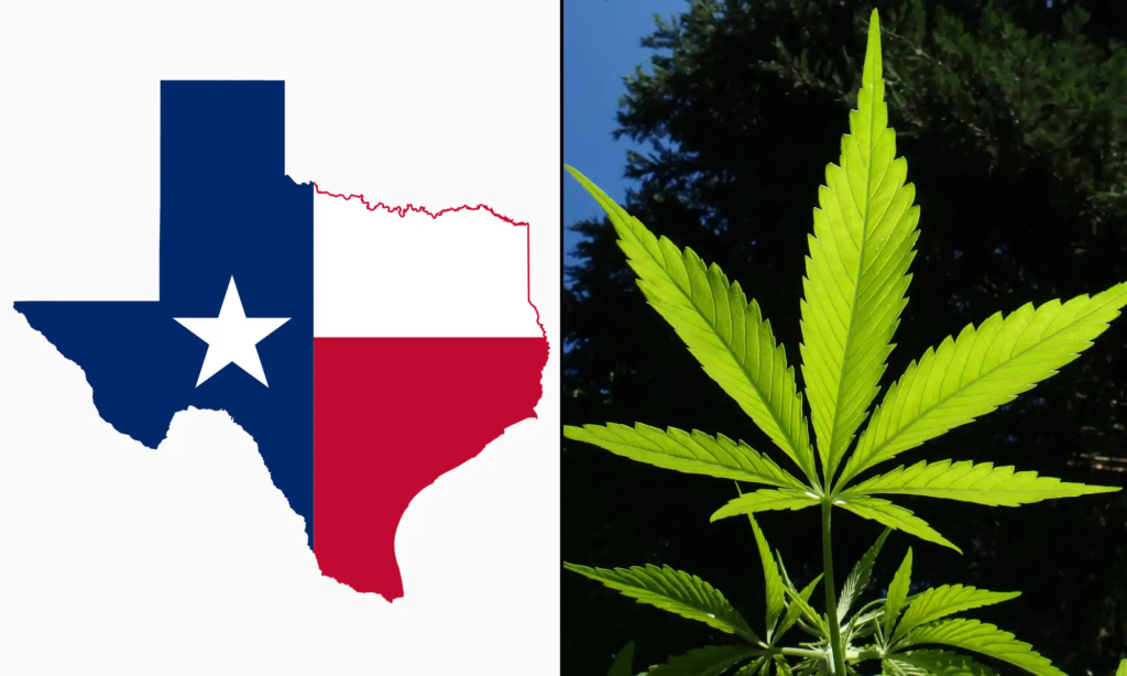 Marijuana Legalization Is On The Ballot In Texas During The Primary Election That's Happening Now – Marijuana Moment