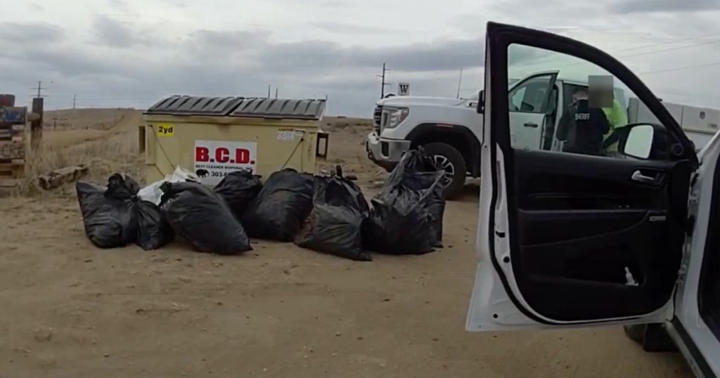 WATCH: 427 pounds of marijuana found in trash bags in Weld County – KUNC