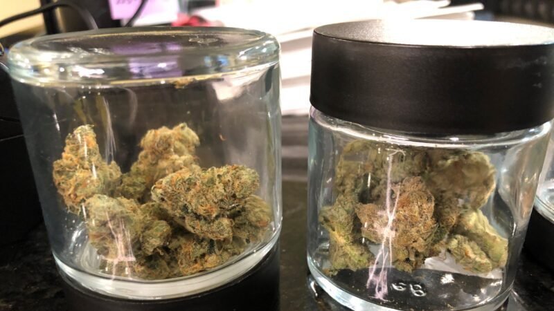 State Auditor, Missouri Health Department At Odds Over Marijuana Program’s Launch – Missourinet