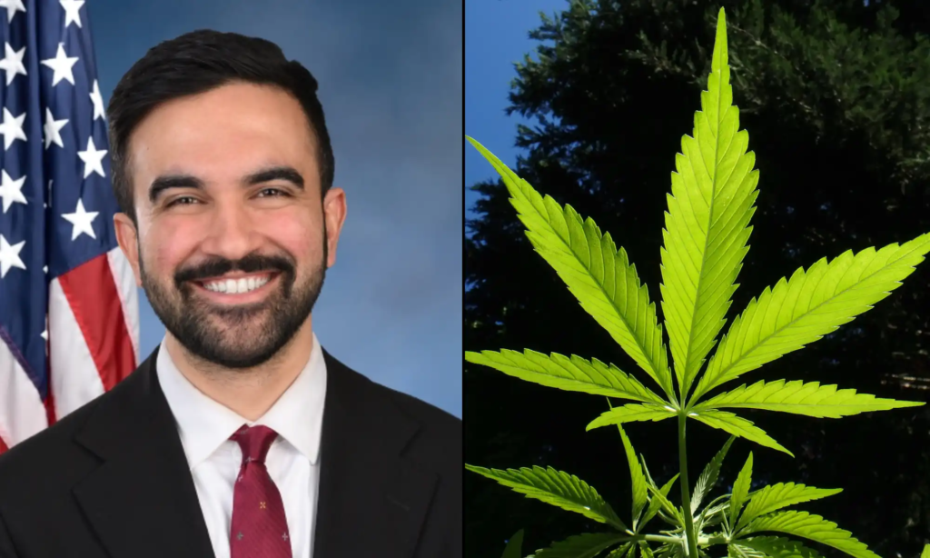 NYC Mayor Mamdani Projects Increased Marijuana Tax Revenue As New Shops Open – Marijuana Moment