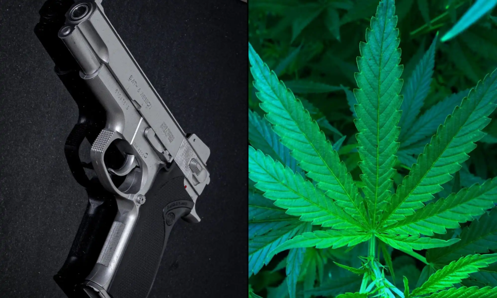 DOJ Tells Supreme Court That Federal Gun Ban For Marijuana Users Must Be Upheld—Even If Trump's Rescheduling Order Is Finalized – Marijuana Moment