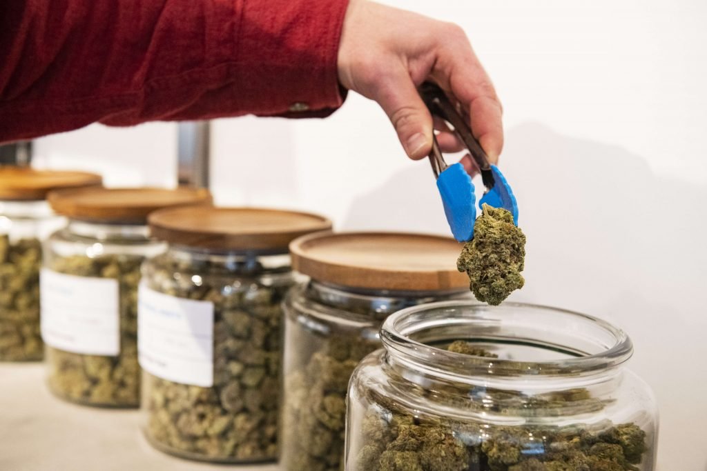 2025 marijuana sales generated over $236M in tax, fee revenue – AspenTimes.com
