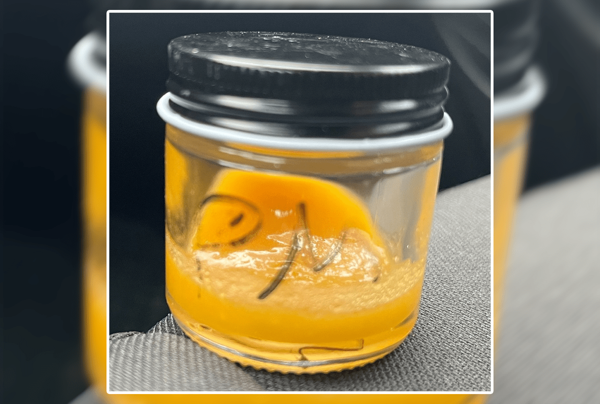 Products from Maine marijuana chain test positive for pesticides – Bangor Daily News