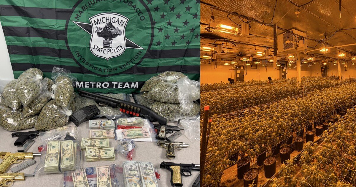 11K plants, $146K & more seized from massive illegal marijuana grow operation in metro Detroit – WXYZ Channel 7