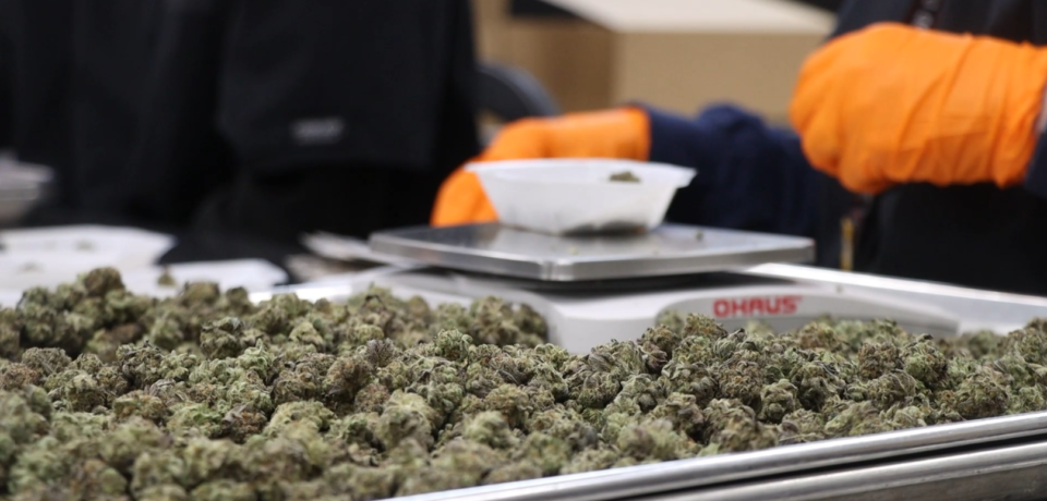 wp-header-logo-477.png wp-header-logo-477.png