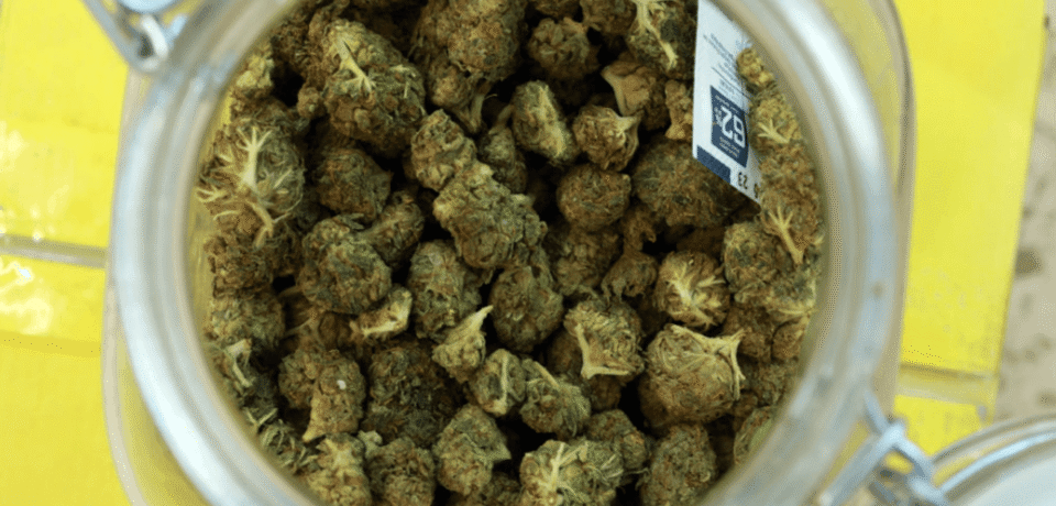 wp-header-logo-486.png wp-header-logo-486.png