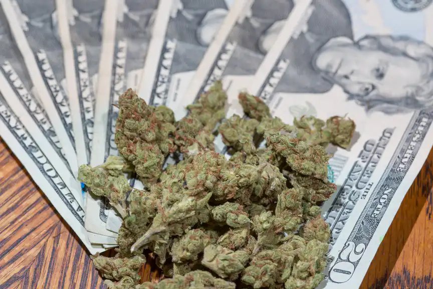 Michigan’s Marijuana Tax Experiment Should Be An Urgent Warning To Other States (Op-Ed) – Marijuana Moment