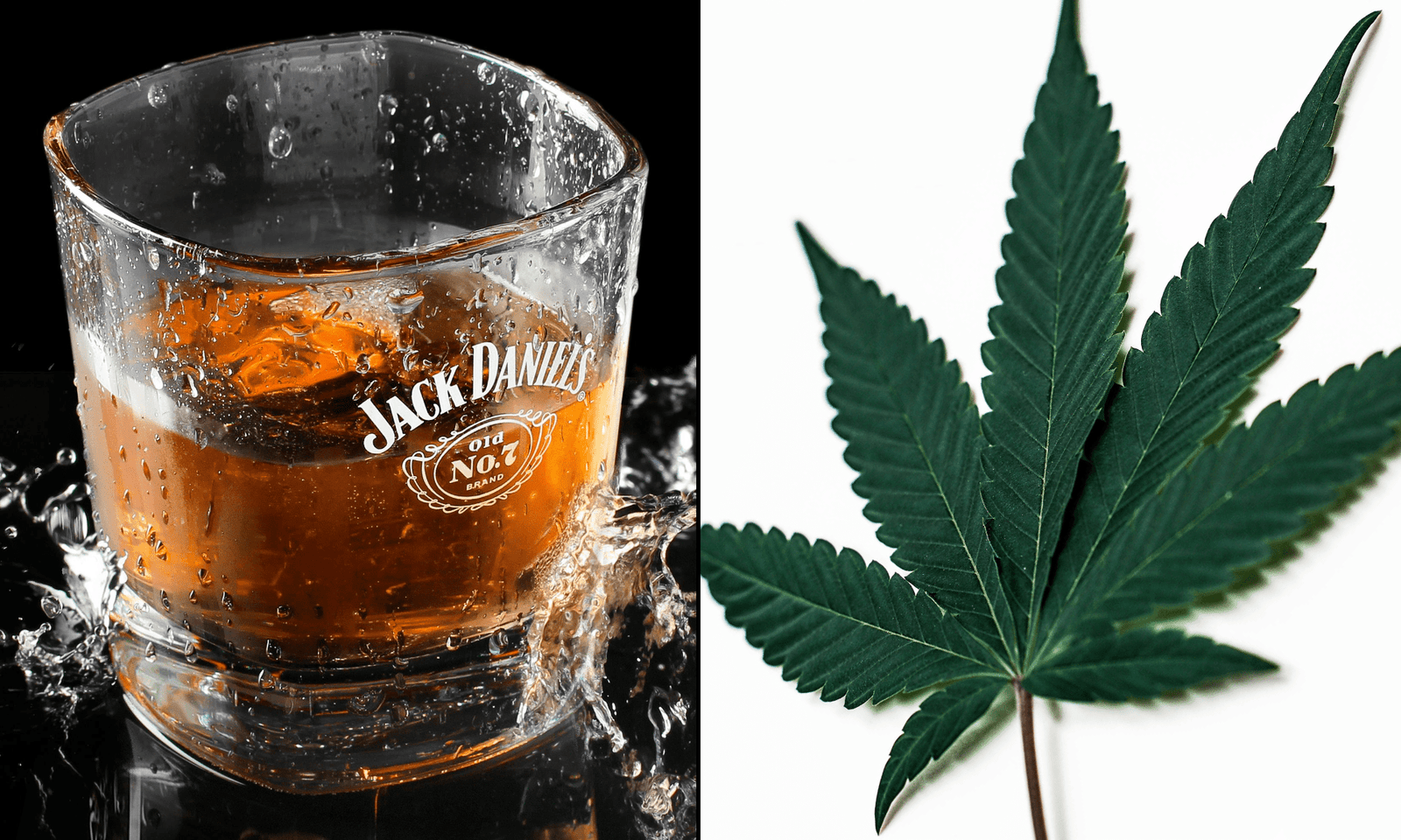 Cannabis-Infused Drinks Offer Consumers A 'Harm Reduction' Alternative To Alcohol, Study Shows – Marijuana Moment