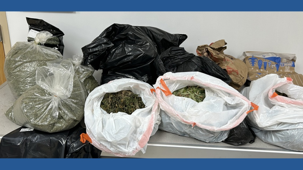 Arrest made after Kings Mountain police search hemp business – WCNC