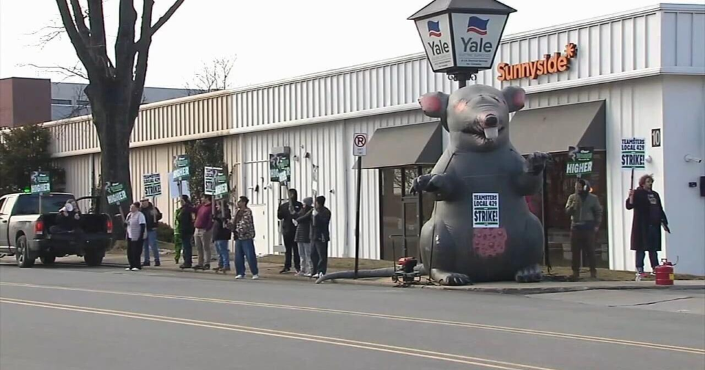 Workers on strike at marijuana dispensary in Wyomissing – Tioga Publishing