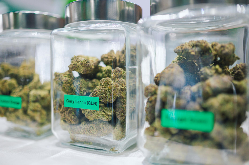2026 Legal Cannabis Dispensary Guide – Chronogram Magazine