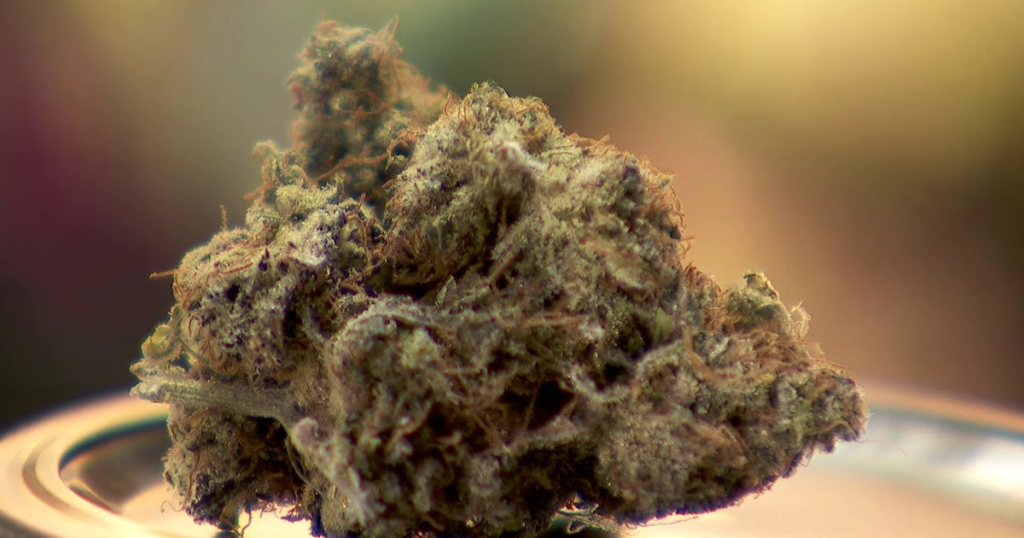 Shakopee Mdewakanton to open dispensary across from Mystic Lake Casino – FOX 9 Minneapolis-St. Paul