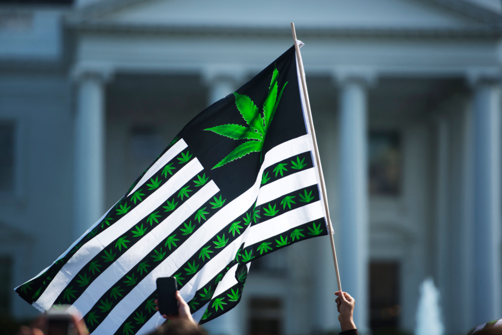 Trump expected to sign executive order to reclassify marijuana as soon as Monday, source tells CNBC; pot stocks surge – CNBC
