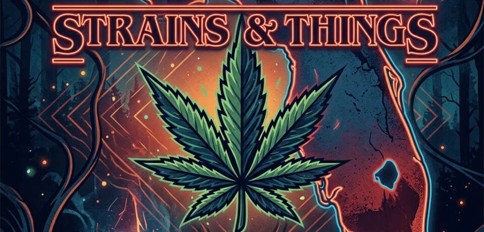 strains and things the florida edition