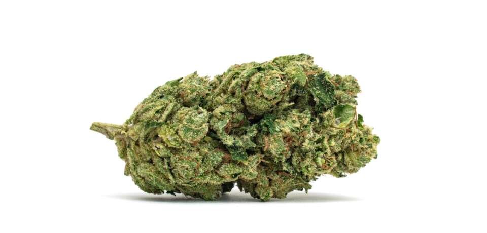 double chem og strain