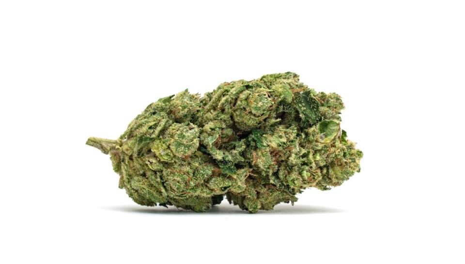 double chem og strain