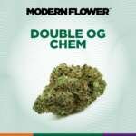 Double Chem OG