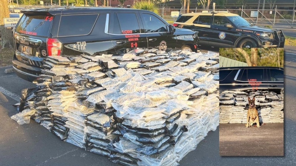 Florida man caught hauling over 2,000 lbs. of marijuana on I-75 – KBAK