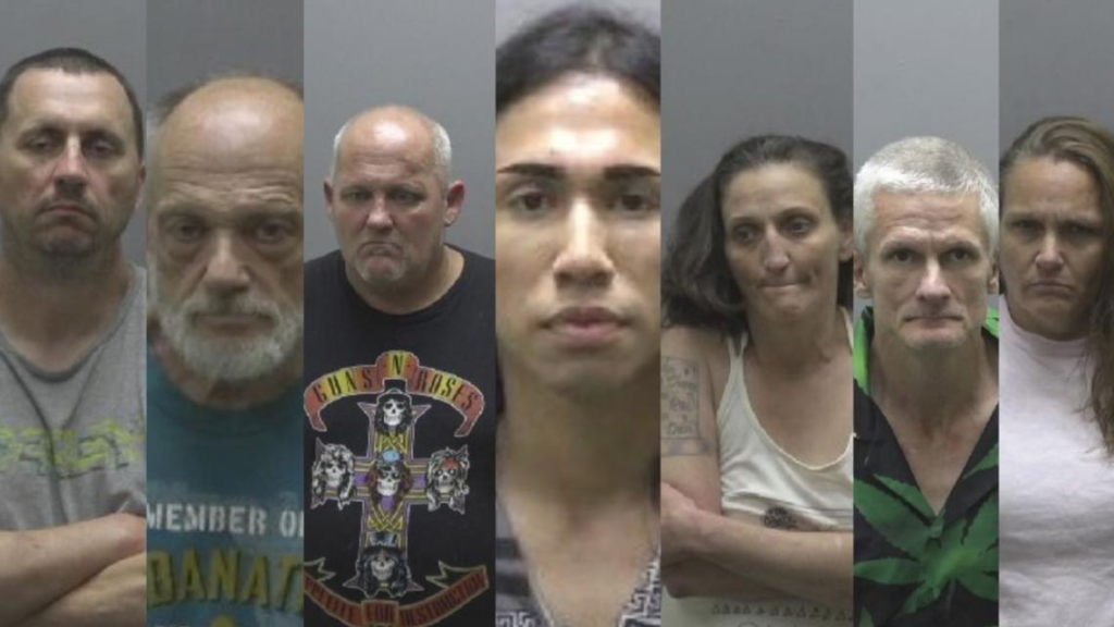 Seven arrested in Burlington drug investigation involving fentanyl, meth, marijuana: Police – wfmynews2.com