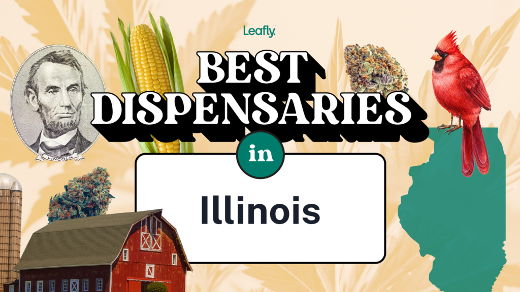 The best-rated weed dispensaries in Illinois for 2024 – Leafly