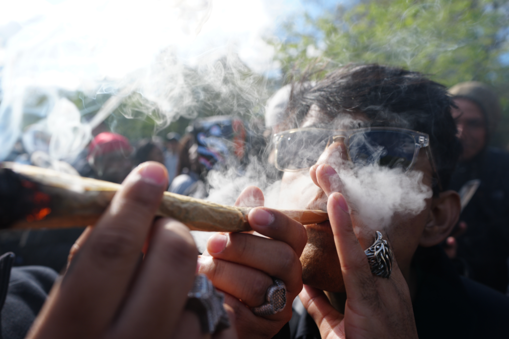 Trump’s DOJ downgrades marijuana — removing it from same drug class as heroin, and ranking it like medication – New York Post