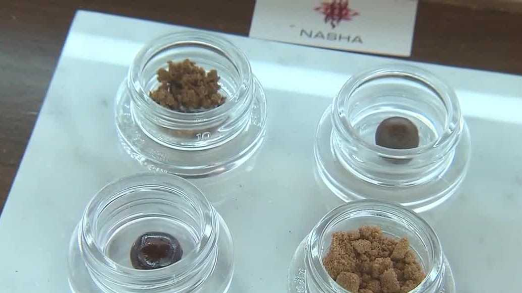Beyond the cellphone: From cannabis use to ADHD, South Florida doctor talks causes of distracted driving – WPBF