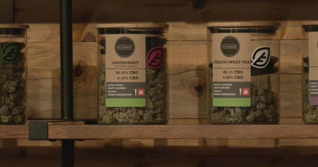 Pendleton pauses new marijuana shop licenses for 4 months – Nonstop Local News