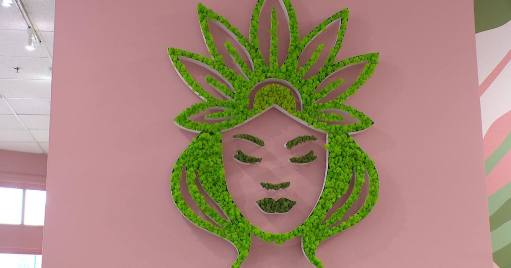 2 sisters open Twin Cities cannabis dispensaries designed to make women feel safe – CBS News