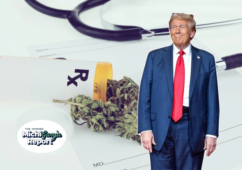 What Trump’s latest marijuana reclassification actually means for Michigan stoners – Gander Newsroom