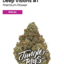 Deep Vision Jungle Boys