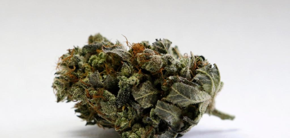 wp-header-logo-363.png
