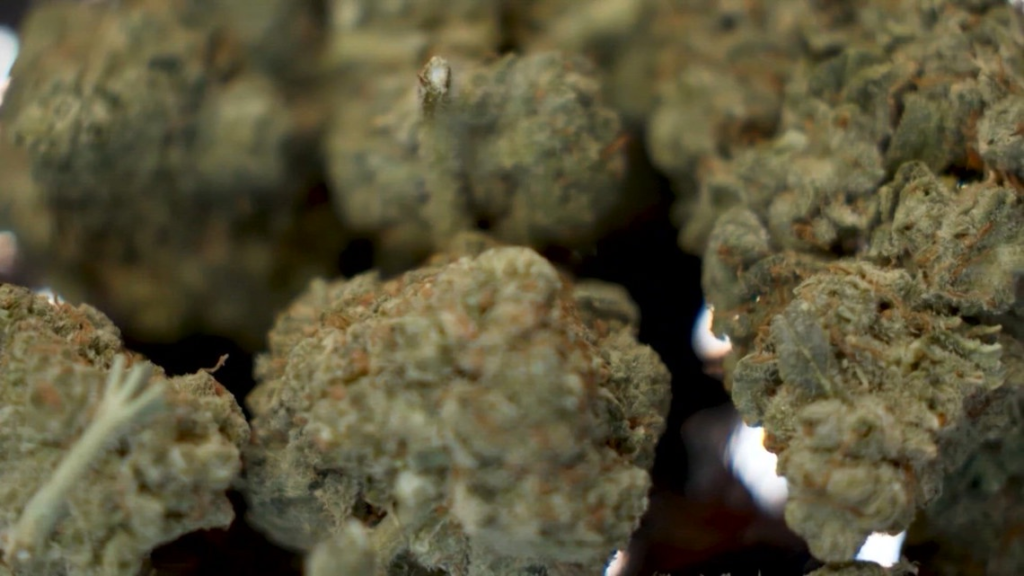What happens if Texas wins its fight against hemp-THC? – WFAA