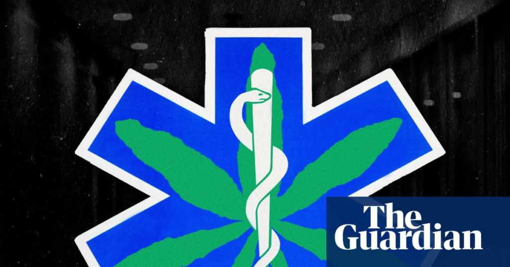 After a hard-fought victory to legalise medical cannabis in the UK, why is it still so hard to access? – The Guardian