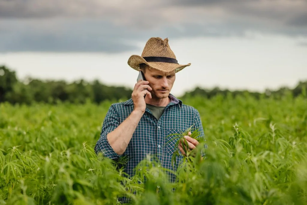 Better Marijuana Stock to Buy Right Now: Tilray or Trulieve? – Yahoo Finance