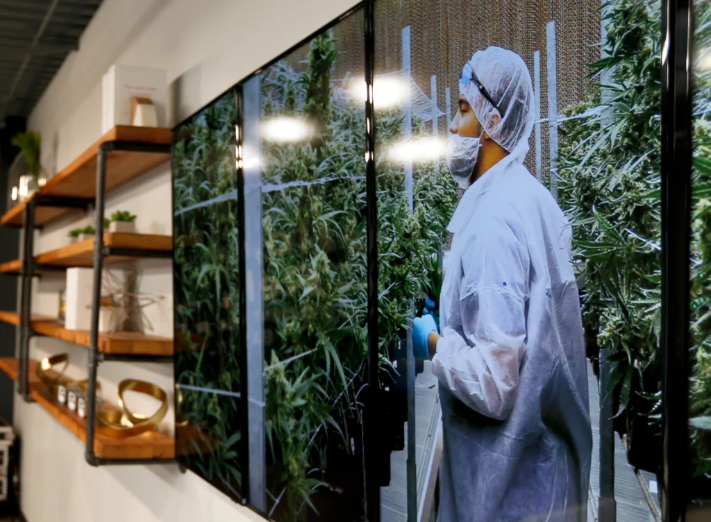 Spotlight PA investigation reveals ‘deficiencies’ in cannabis oversight, lawmakers say – Reporters Committee for Freedom of the Press