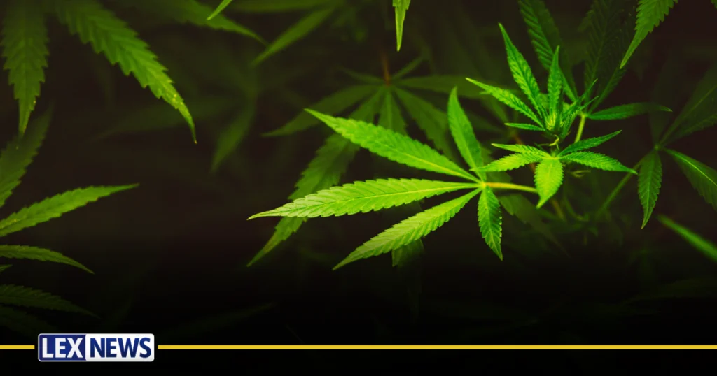 Gov. Beshear expands medical cannabis access, adding 15 new qualifying conditions – LEX18