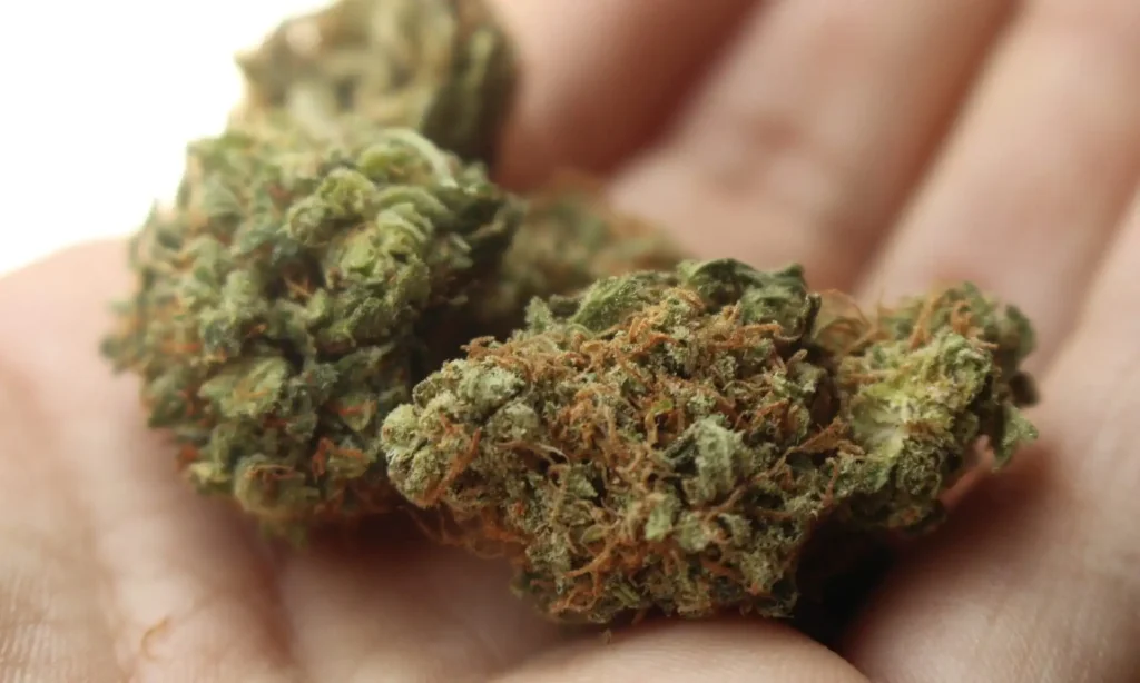 New Pennsylvania Bill Would Award Medical Marijuana Licenses To Small, Diverse and Disadvantaged Businesses – Marijuana Moment